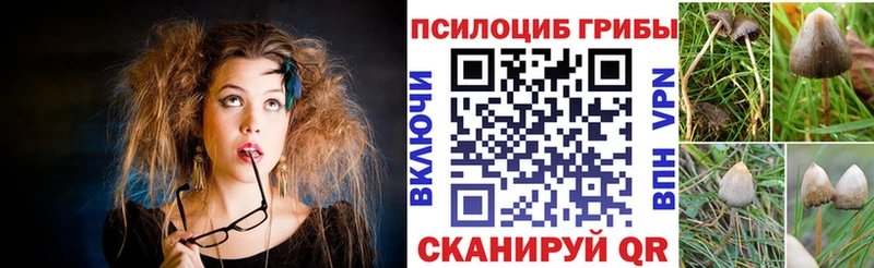 мега ONION  Томмот  Галлюциногенные грибы Magic Shrooms 